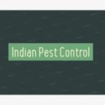 Indian Pest Management Services- Pune City 